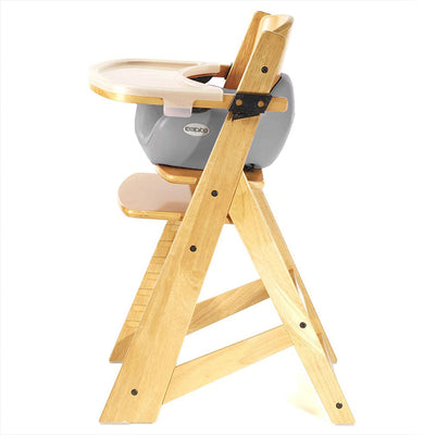 High Chair + Infant Insert