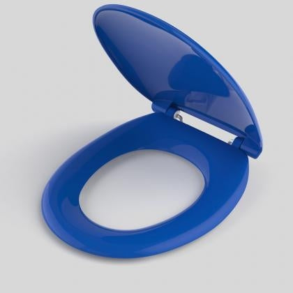 blue toilet seat