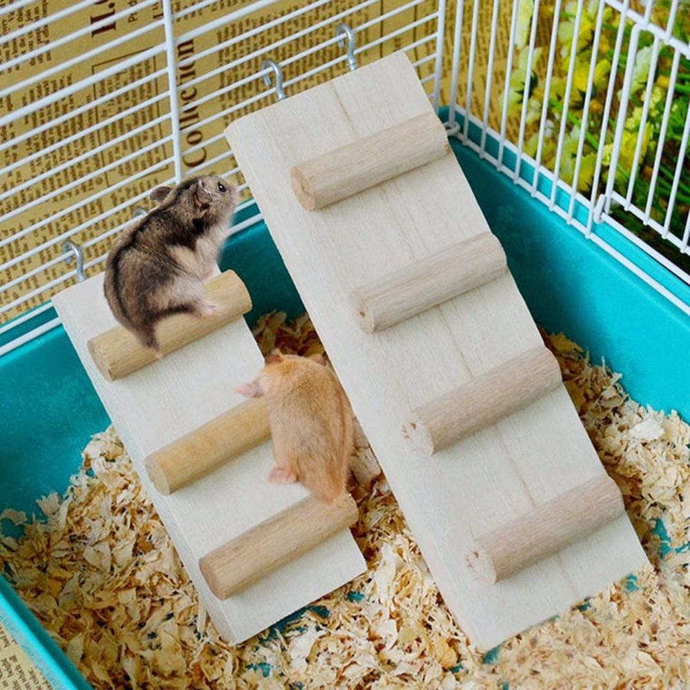 wooden rodent cage