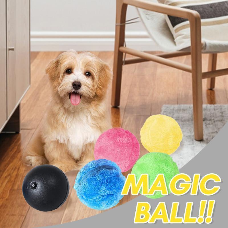 magic ball for dogs