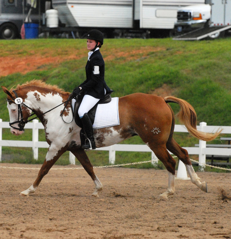 USEA Individual Dressage Tests Shop Pony Club