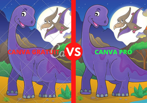 Canva gratuit vs Canva Pro