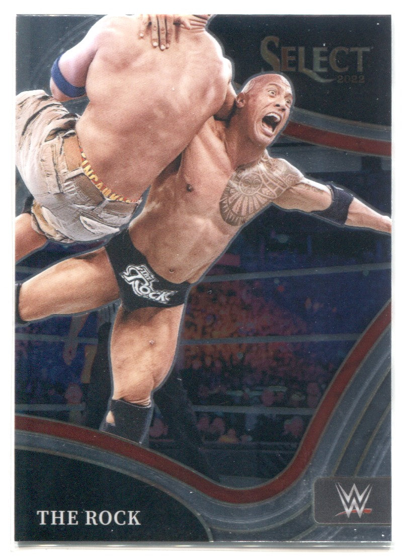 ザロック The Rock 22 PANINI SELECT WWE zebra - その他