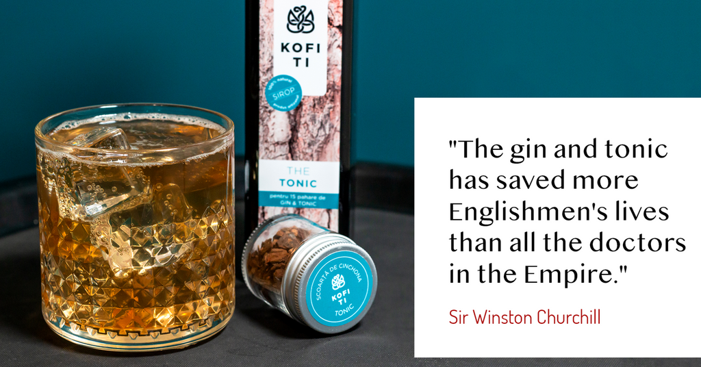 Sir Winston Churchill Gin quote