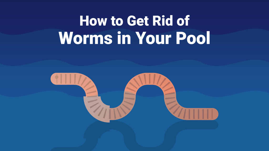 little worms in pool