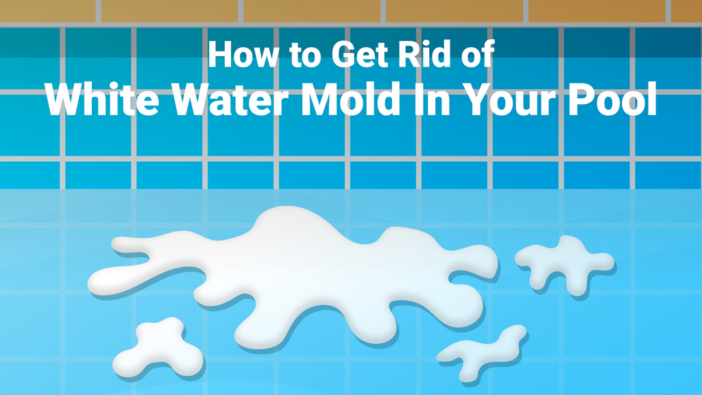 How to Get Rid of White Water Mold In Your Pool – PoolPartsToGo