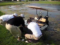 Golf Carts on Golf Course