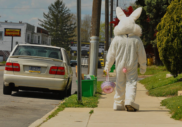 Easter bunny empty basket