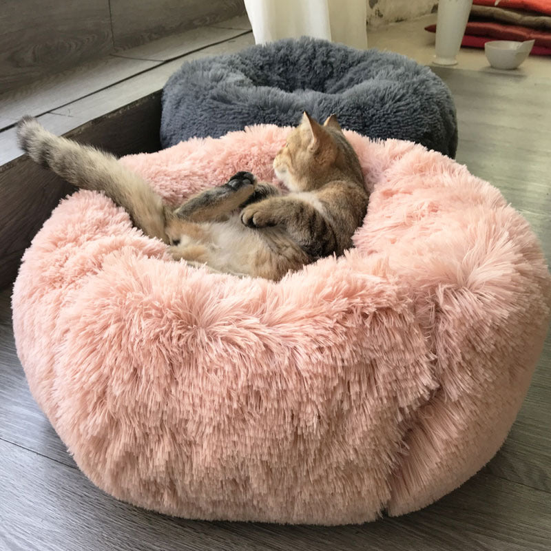 plush dog bed