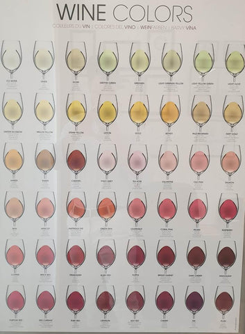 Colores de vinos. Cómo hacer una cata de vino