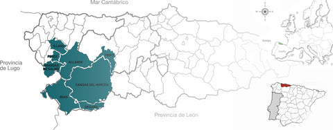 Mapa de Asturias - Bodega vitheras Cangas del Narcea