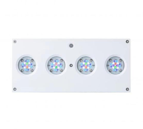 AI Hydra 64HD Two Unit Package