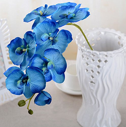 blue orchid wedding theme