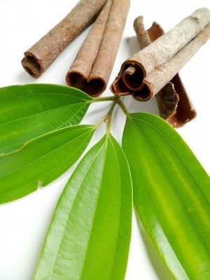 Cinnamon leaf and sticks
