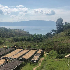 Origin Coffee Roasting - Rwanda Gisheke Natural (Competition Coffee)