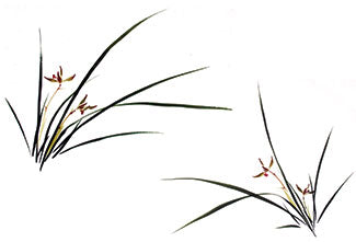 Composition Picture from DV310 Chinese Flower Painting 2: Orchid Video