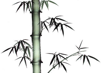 composition picture from DV310 Chinese Flower Painting 2: Bamboo video