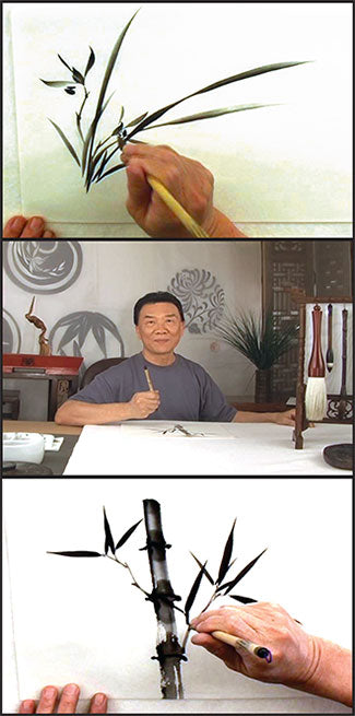 screen shots from DV601 Chinese Brush Painting Basics: Orchid and Bamboo Video