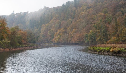 Lopwell Dam