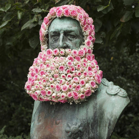 beard flowers