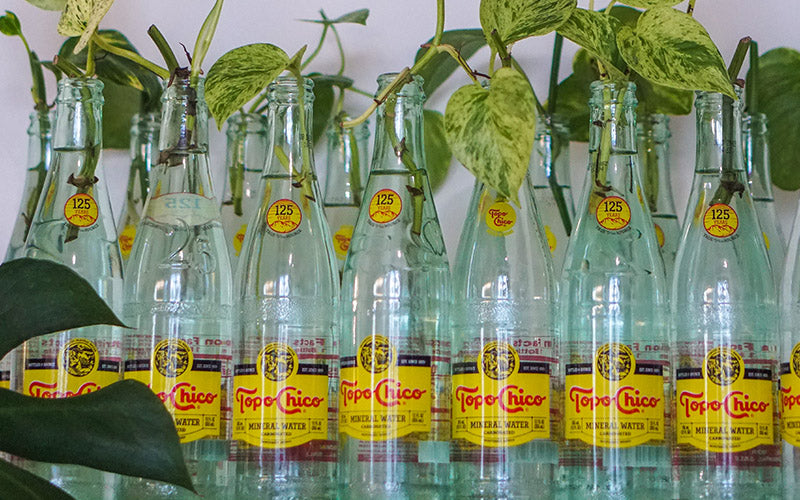 Topo~Chico Propagations 