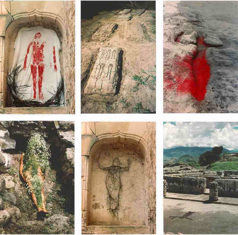 Ana Mendieta Silueta Series Land Artist 