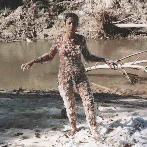 Ana Mendieta Silueta Series Land Artist