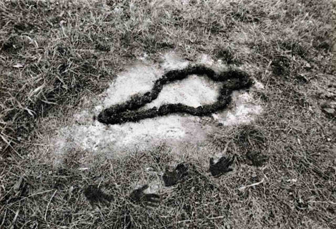 Ana Mendieta Silueta Series Land Artist 