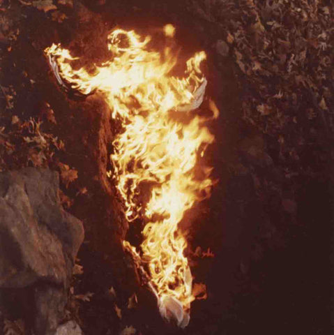 Ana Mendieta Silueta Series Land Artist