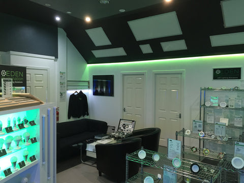 Eden illumination LED Lighting showroom
