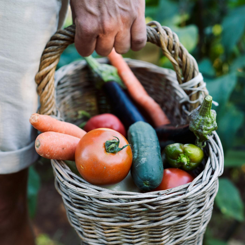 Korb , Gemüse, Feld, frisch, Kürbis, Zucchini