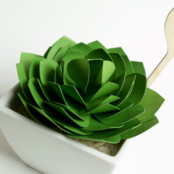 Paper Succulent