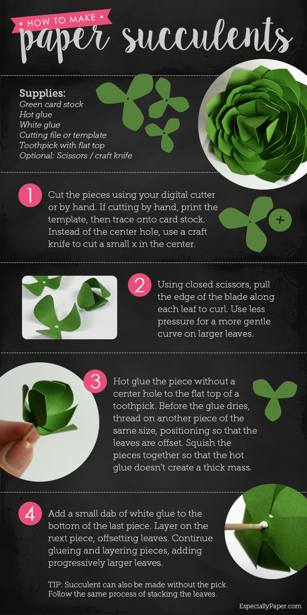 Paper Succulent Tutorial