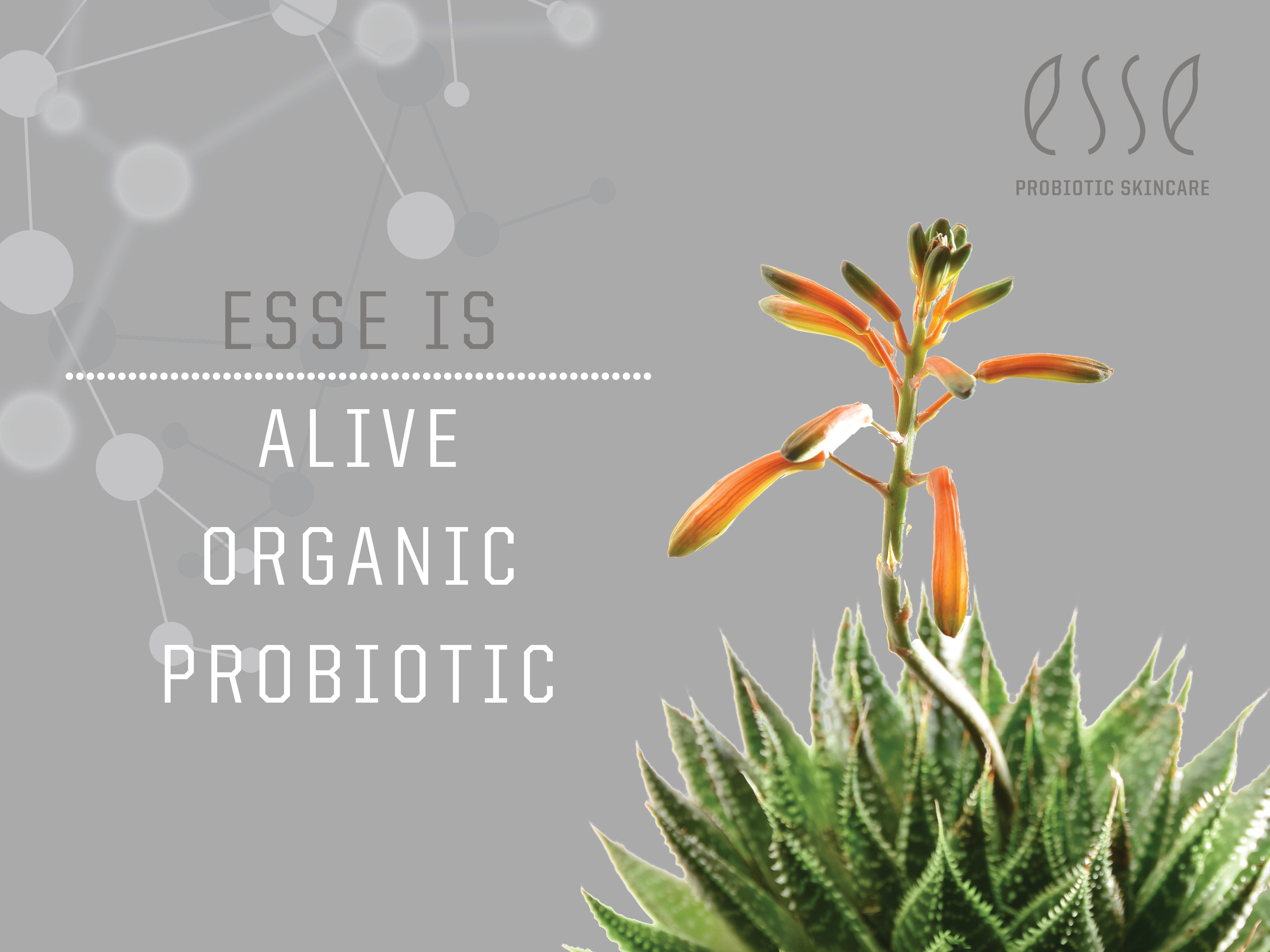 Esse is Alive, Organic and Probiotic