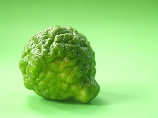 bergamot