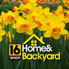 WNEP Home and Backyard | Small Business Saturday 