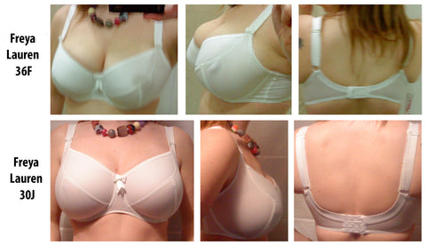 bra fitting plus four freya lauren size comparison