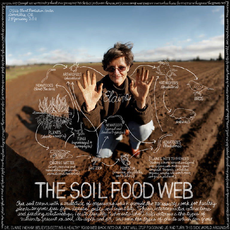 Soil Food Web Style Thermo Compost – SymSoil