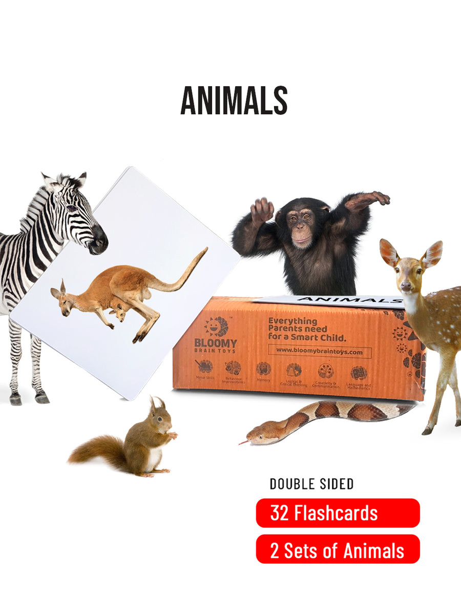 Different Animals - Baby Flash Cards - 32 Cards - 2 Sets –  