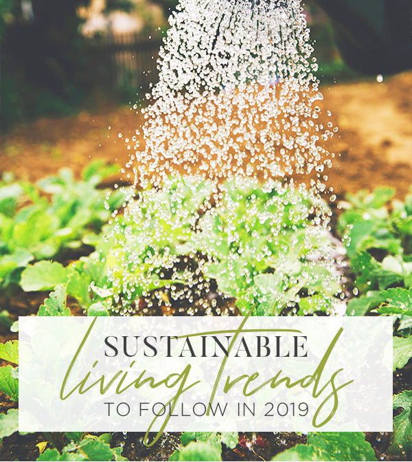 SUSTAINABLE LIVING TRENDS TO FOLLOW IN 2019