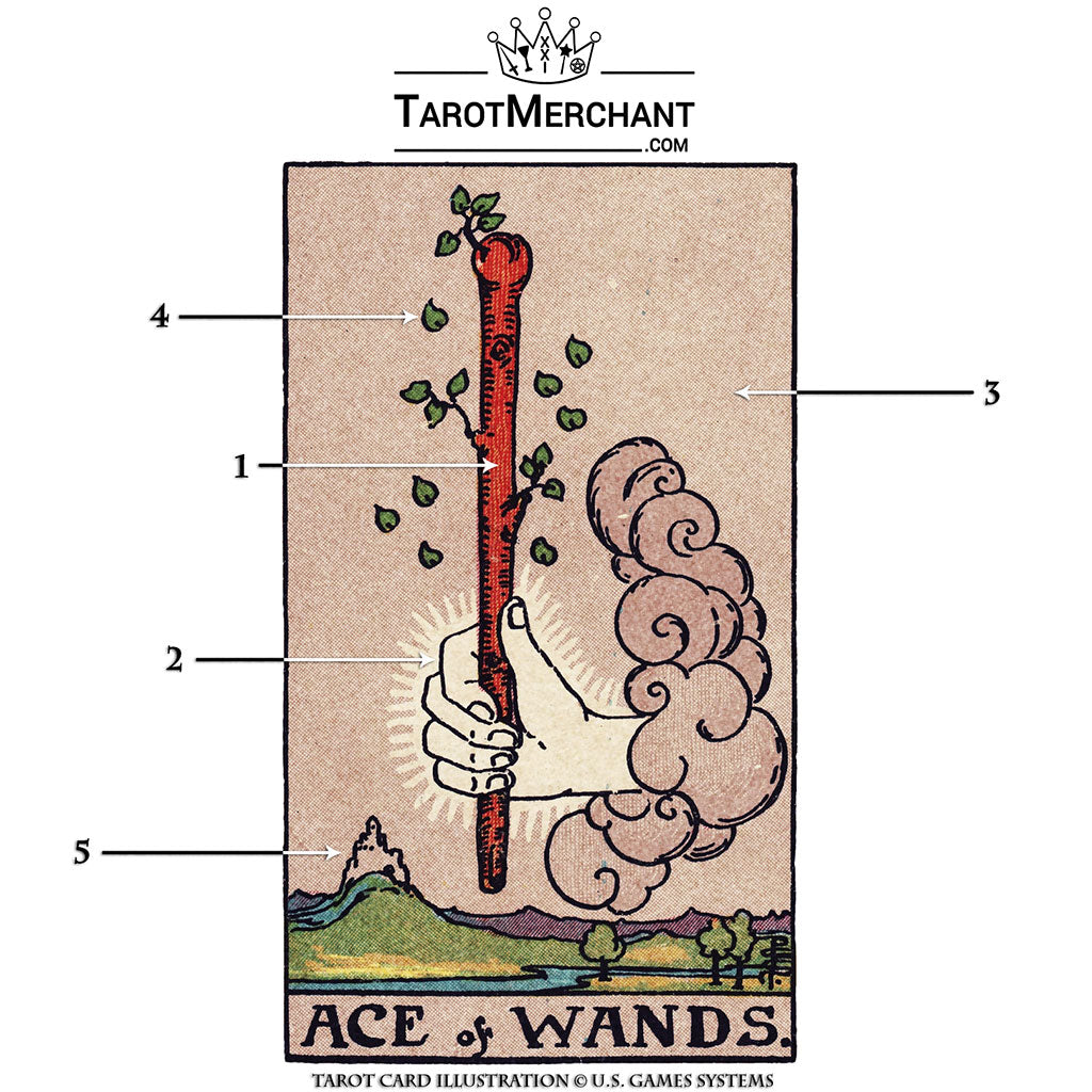 Ace of – Tarot Card Meaning with Video – TarotMerchant