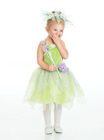 Little Adventures Tinkerbell Fairy Costume