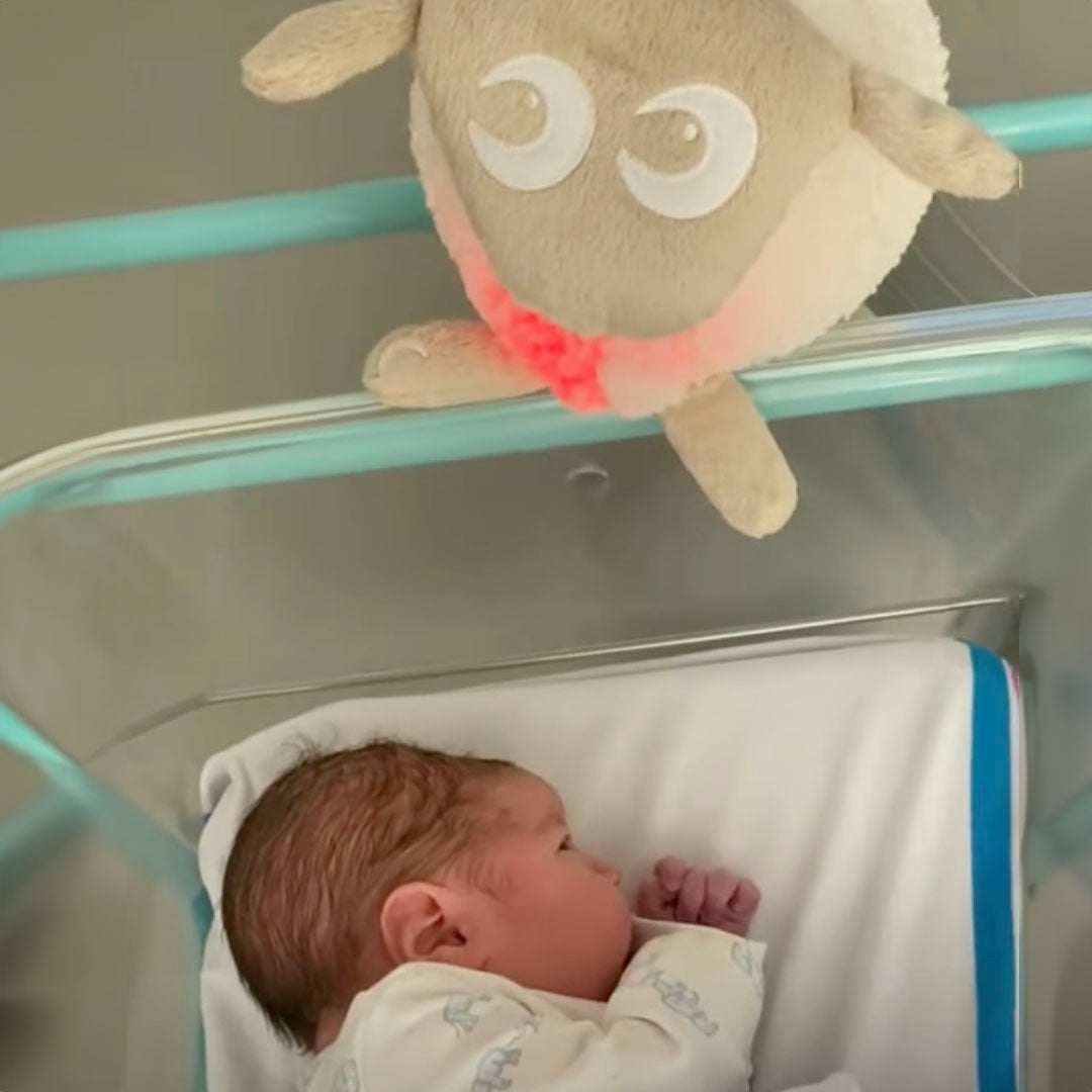 ewan the sheep gently shushing newborn baby back to sleep