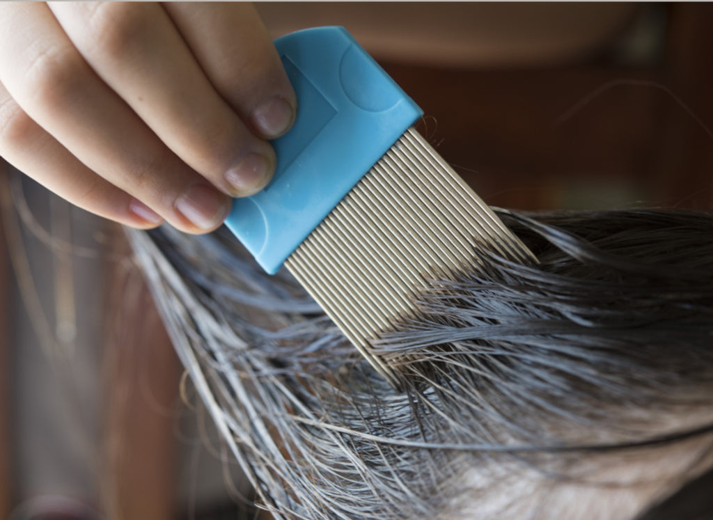 Natural ways to control head lice with conditioner | Green People UK