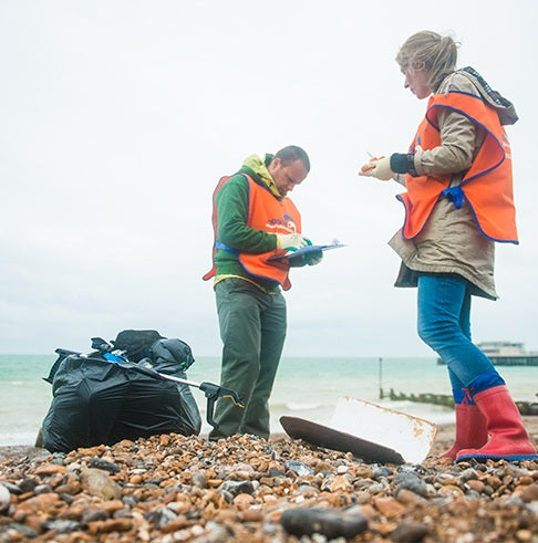 beach clean