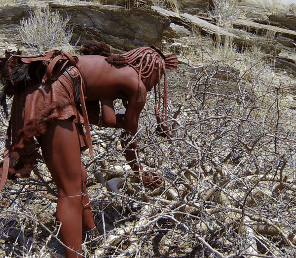 Myrrh gum, himba tribe