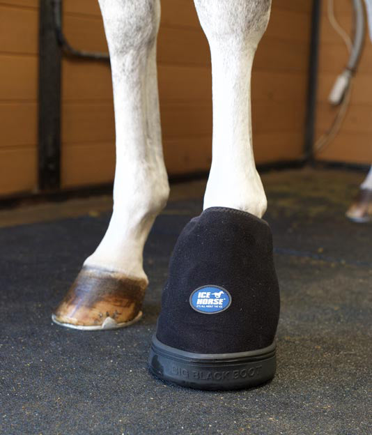 Cryotherapy is key for keeping the horse more comfortable.