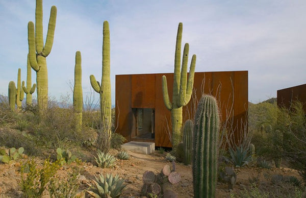 Desert Nomad House | Rick Joy Architects