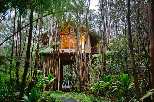 Tropical Hawaiian Tree House Airbnb