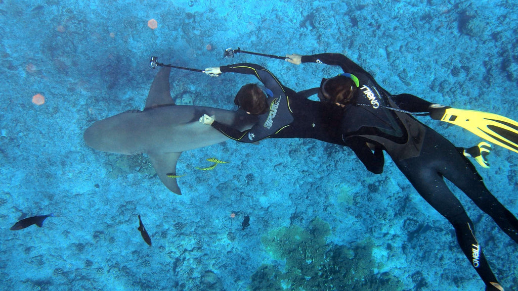 Top 15 Best Scuba Diving In The World